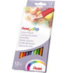 Picture of PENTEL - COLOURING PENCILS X12